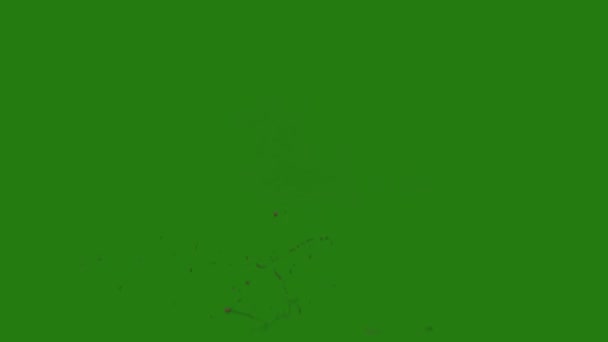 Organic Splattered Blood Element Fácil Edición Vídeo Pantalla Verde Cualquier — Vídeos de Stock