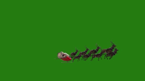 Weihnachtsmann Auf Einem Schlitten Mit Weihnachten Rentiere Hochauflösende Animierte Grüne — Stockvideo