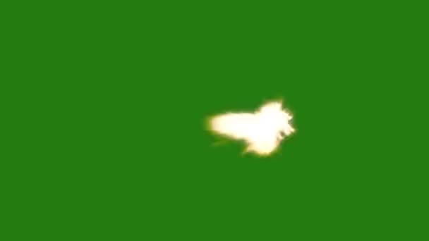 Морда Вспышки Высокого Качества Зеленый Экран Анимации Видео Легко Редактируемый — стоковое видео