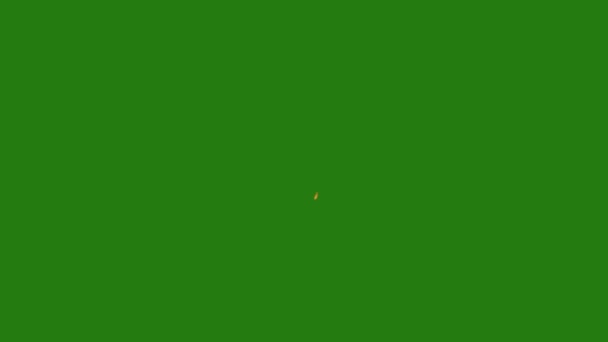 枪口闪现高质量的绿色屏幕动画视频4K 易于编辑的绿色屏幕视频 高质量的矢量3D插图 首选绿色屏幕背景 — 图库视频影像