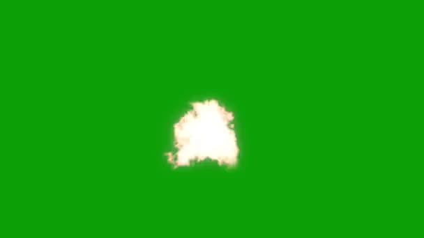 Морда Вспышки Высокого Качества Зеленый Экран Анимации Видео Легко Редактируемый — стоковое видео