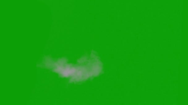 Muzzle Flash Alta Qualidade Verde Tela Animação Vídeo Fácil Editável — Vídeo de Stock