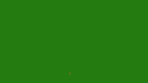 Explosion High Resolution Green Screen Animated Video Chroma Key Flame — Stock video