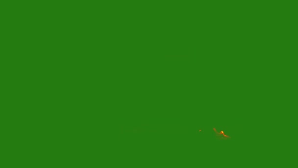 Fuego Pantalla Verde Alta Calidad Vídeo Pantalla Verde Fácil Editable — Vídeos de Stock