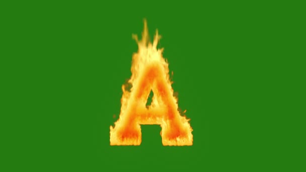 Velké Písmeno Hoří Ohněm Zelené Obrazovce Ohnivé Písmo Animace Zeleném — Stock video