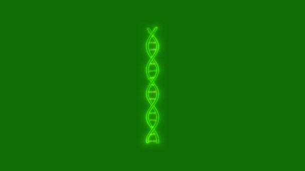 Dna High Quality Green Screen Animation Video Video Element Green — Stockvideo