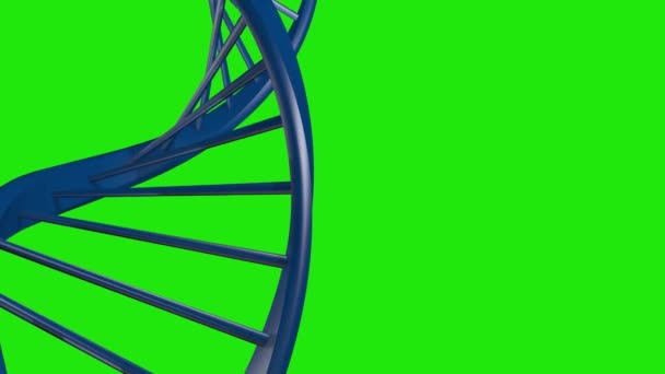 Dna High Quality Green Screen Animation Video Video Element Green — Stockvideo