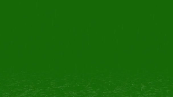 Дощ Грім Відео Високої Роздільної Здатності Анімований Зелений Екран Легко — стокове відео