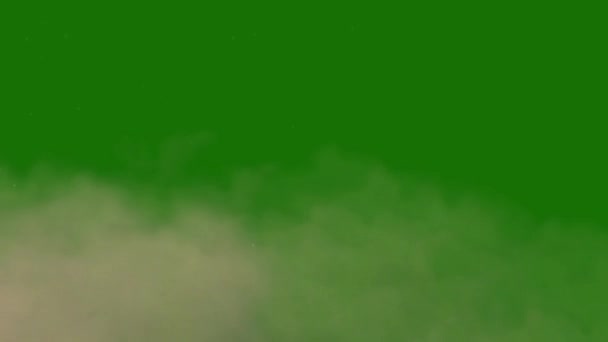 Burza Pyłowa Wysokiej Jakości Zielony Ekran Wideo Łatwy Edycji Zielony — Wideo stockowe