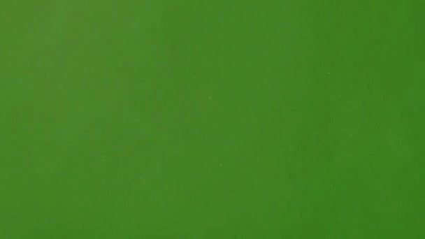 Tempesta Polvere Alta Qualità Video Schermo Verde Facile Modificabile Video — Video Stock