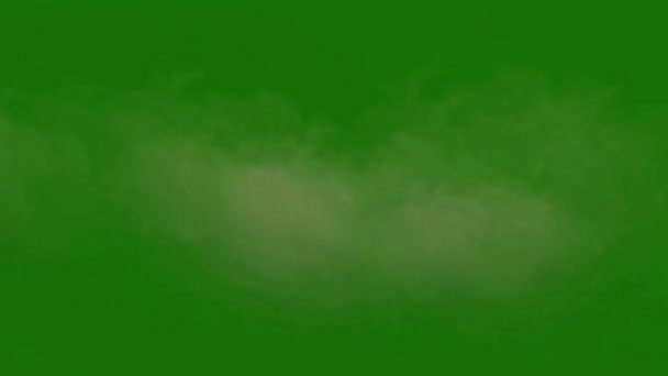 Пылевая Буря Высокого Качества Зеленый Экран Кадры Легко Редактируемый Зеленый — стоковое видео