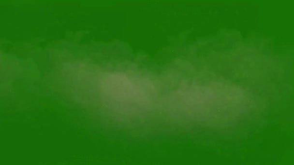 Staubsturm Qualitativ Hochwertiges Green Screen Footage Leicht Editierbares Green Screen — Stockvideo