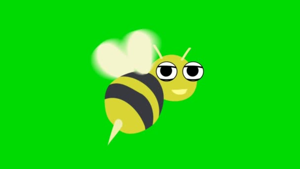 Bee Κινούμενα Σχέδια Υψηλής Ποιότητας Κινούμενα Σχέδια Πράσινο Βίντεο Οθόνη — Αρχείο Βίντεο