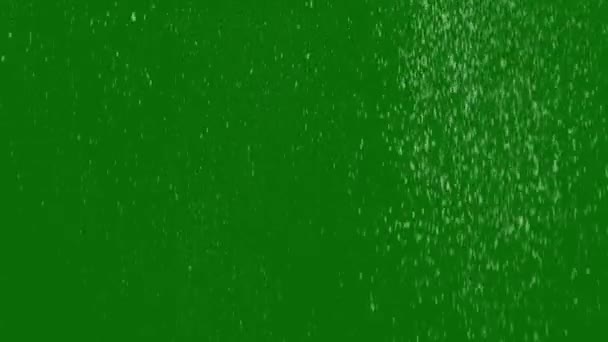 Schneefalleffekt Hochauflösendes Video Green Screen Das Videoelement Auf Einem Green — Stockvideo