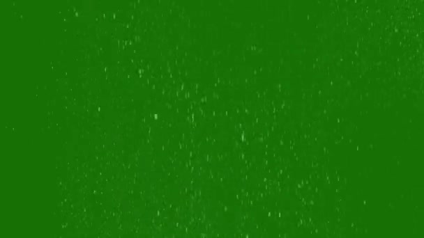 Kar Yağışı Etkisi Yüksek Çözünürlük Video Yeşil Ekran Yeşil Ekran — Stok video