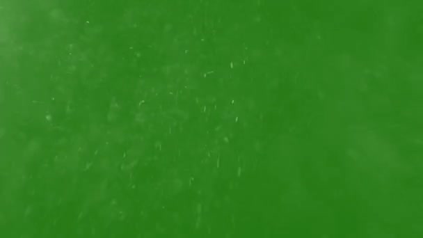 Efeito Queda Neve Efeito Alta Resolução Vídeo Tela Verde Elemento — Vídeo de Stock