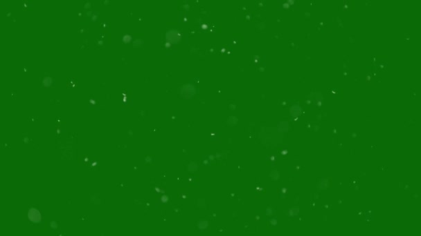 Snowfall Effect High Resolution Effect Video Green Screen Video Element — Stock Video