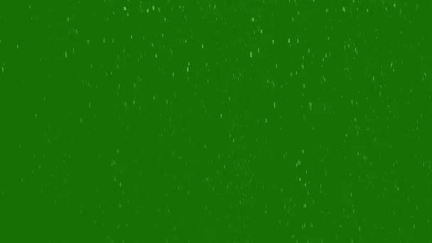 Ефект Снігопаду Ефект Високої Роздільної Здатності Відео Зелений Екран Відеоелемент — стокове відео