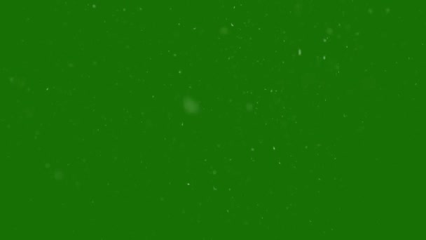 Эффект Снегопада Эффект Высокого Разрешения Видео Зеленый Экран Видео Элемент — стоковое видео