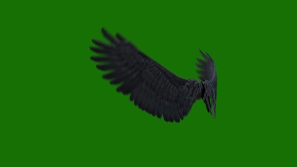 Angel Wings High Resolution Animated Green Screen Video Element Green — Stock Video