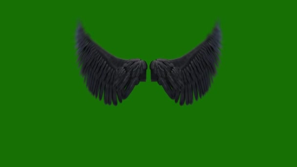 Angel Wings Alta Risoluzione Animato Schermo Verde Elemento Video Uno — Video Stock