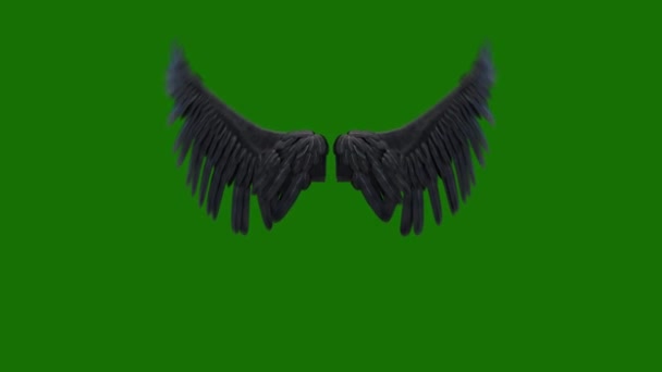 Ангел Крылья Высокого Разрешения Анимированный Зеленый Экран Видео Элемент Зеленом — стоковое видео