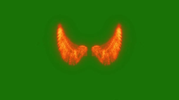 Angel Wings Alta Risoluzione Animato Schermo Verde Elemento Video Uno — Video Stock