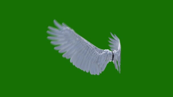 Ангел Крылья Высокого Разрешения Анимированный Зеленый Экран Видео Элемент Зеленом — стоковое видео