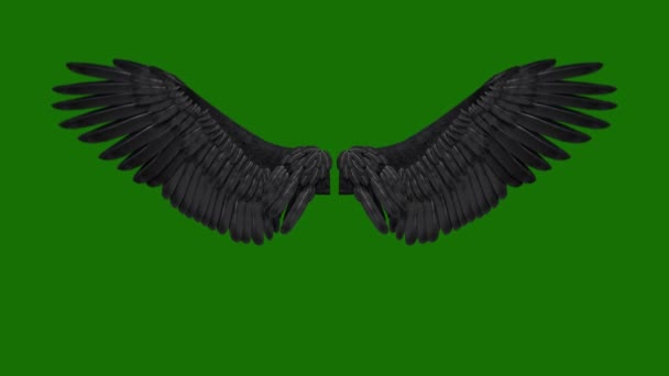 Angel Wings High Resolution Animated Green Screen Video Element Green — Stock Video