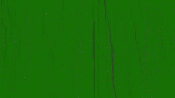 Реалістичний Дощ Ефекті Високої Роздільної Здатності Вікна Зелений Екран Відеоелемент — стокове відео