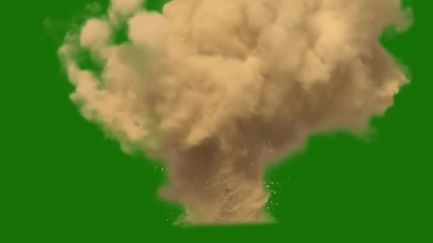 Sandsturm Der Wüste Realeffekt Hochauflösendes Pro Video Videoelement Auf Grünem — Stockvideo