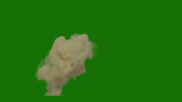Піщана Буря Пустелі Реальний Ефект High Resolution Pro Video Відеоелемент — стокове відео