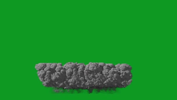 Sandsturm Hochauflösendes Green Screen Pro Video Das Videoelement Auf Einem — Stockvideo