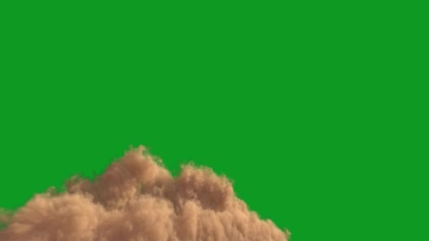 Sandstorm Alta Risoluzione Schermo Verde Pro Video Elemento Video Uno — Video Stock