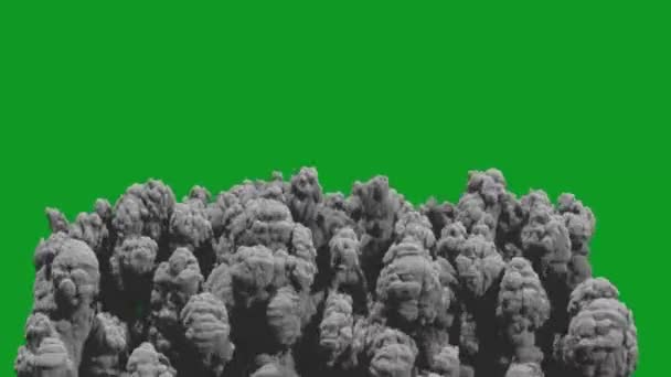 砂嵐高リゾリューショングリーンスクリーンプロビデオ4K 緑色の背景のビデオ要素 超高精細 4Kビデオ 緑色の背景に — ストック動画