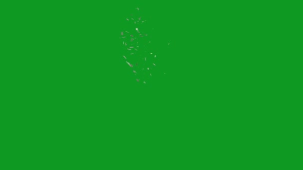 Szkło Stłuczone Najwyższej Jakości Animowany Zielony Ekran Łatwy Edycji Zielony — Wideo stockowe
