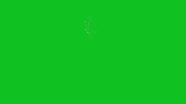 Стекло Разбито Высшего Качества Анимированный Зеленый Экран Легкий Съедобный Зеленый — стоковое видео