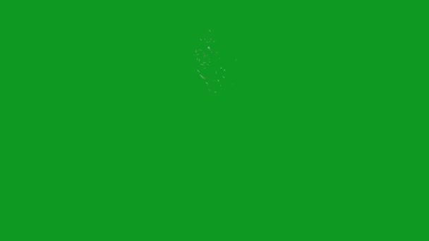 Pantalla Verde Animada Alta Calidad Rota Cristal Video Pantalla Verde — Vídeo de stock