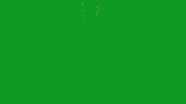 Стекло Разбито Высшего Качества Анимированный Зеленый Экран Легкий Съедобный Зеленый — стоковое видео