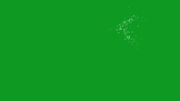 Pantalla Verde Animada Alta Calidad Rota Cristal Video Pantalla Verde — Vídeo de stock