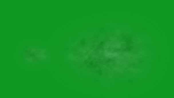 Muzzle Flash Високоякісні Ефекти Зеленого Екрану Легке Редагування Зеленого Екрану — стокове відео