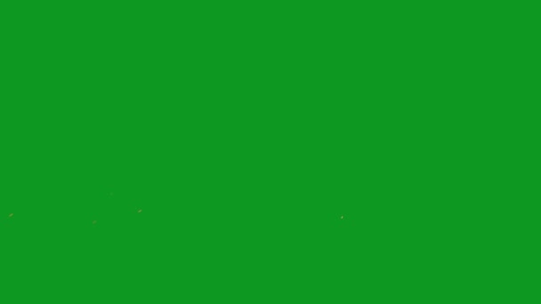 Maulkorb Flash Top Qualität Green Screen Effekte Leicht Editierbare Green — Stockvideo