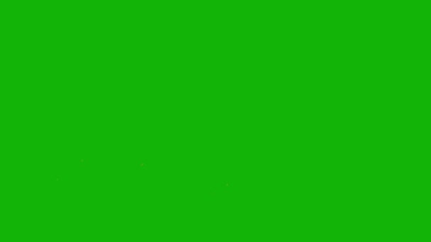 Морда Вспышки Высшего Качества Зеленый Экран Эффекты Легко Редактируемый Зеленый — стоковое видео