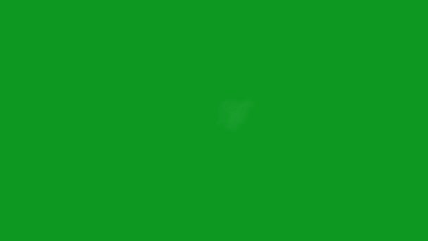 Hocico Flash Alta Calidad Verde Pantalla Efectos Fácil Editable Video — Vídeos de Stock