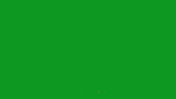 Muzzle Flash Najwyższej Jakości Zielone Efekty Ekranu Łatwy Edycji Zielony — Wideo stockowe
