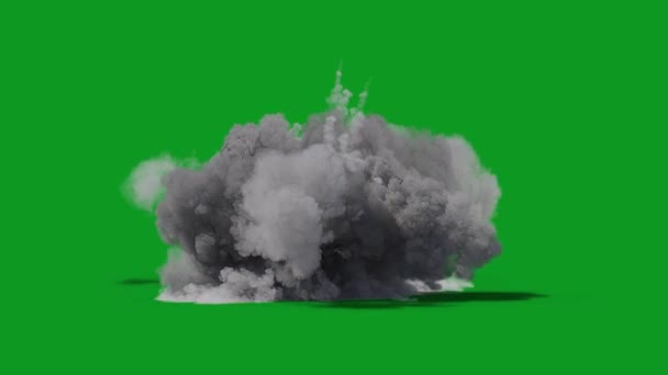 Pył Eksplozja Najwyższej Jakości Animowany Zielony Ekran Łatwy Edycji Zielony — Wideo stockowe