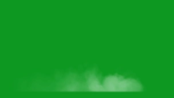Пустеля Пісок Найвищої Якості Анімований Зелений Екран Легке Редагування Зеленого — стокове відео
