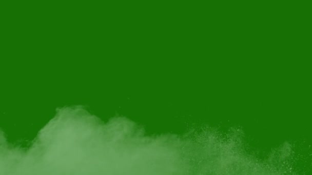 Pustynia Piasek Najwyższej Jakości Animowany Zielony Ekran Łatwy Edycji Zielony — Wideo stockowe