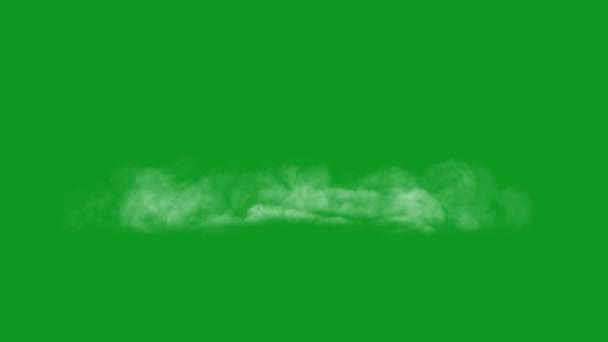 Nebel Top Qualität Animierten Grünen Bildschirm Leicht Editierbare Green Screen — Stockvideo