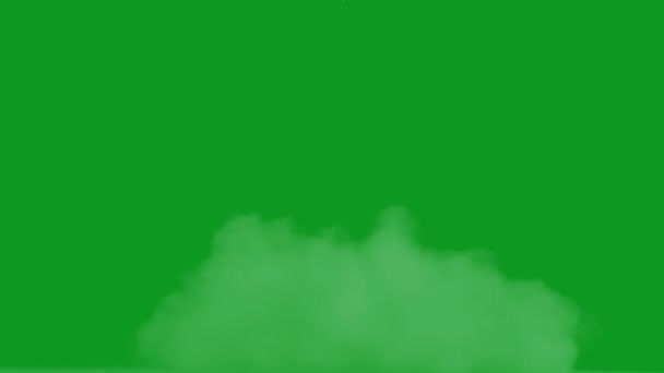 Ομίχλη Κορυφαία Ποιότητα Κινουμένων Σχεδίων Πράσινη Οθόνη Εύκολη Επεξεργάσιμο Πράσινο — Αρχείο Βίντεο